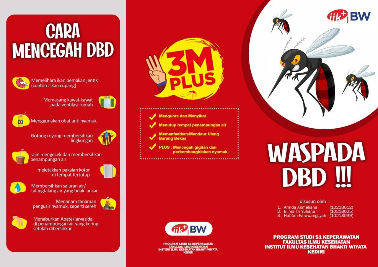 Leaflet Penyuluhan Demam Berdarah